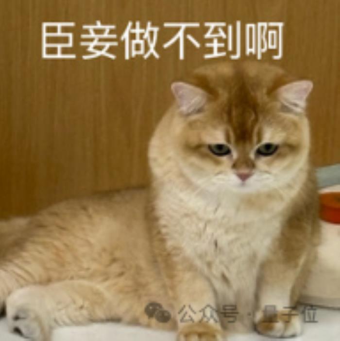 人形機器人半馬冠軍 為什么會選擇全尺寸