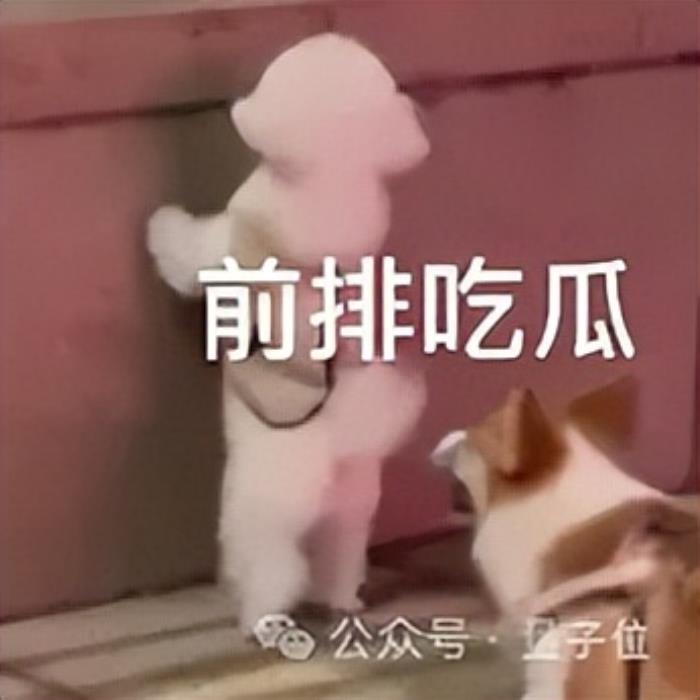 6個月估值翻倍!黃仁勛力薦的AI搜索公司欲開發瀏覽器取代Chrome